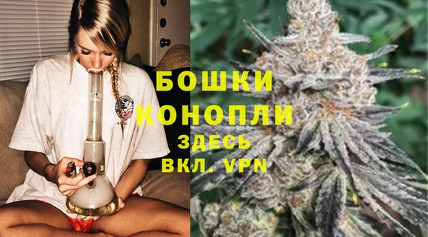 ПСИЛОЦИБИНОВЫЕ ГРИБЫ Михайловск
