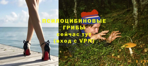 ПСИЛОЦИБИНОВЫЕ ГРИБЫ Михайловск