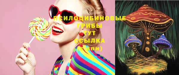 ПСИЛОЦИБИНОВЫЕ ГРИБЫ Михайловск